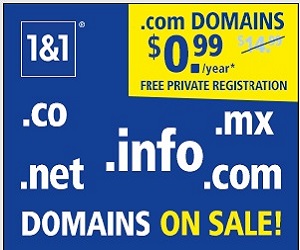 99 cent domain name