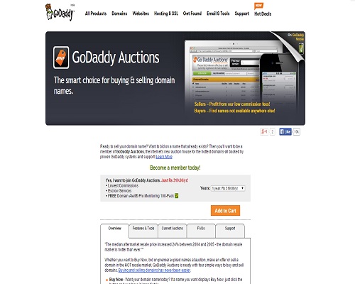 Godaddy Auctions