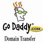 Godaddy Domain Transfer