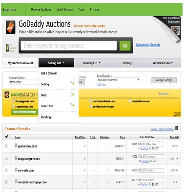 Godaddy Auction