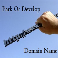 park or develop domain name