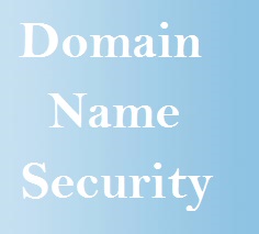 domain names security